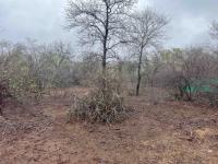  of property in Marloth Park