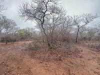  of property in Marloth Park