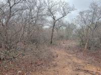  of property in Marloth Park