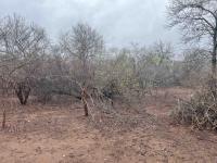  of property in Marloth Park