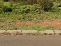  of property in Aerorand - MP