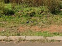  of property in Aerorand - MP