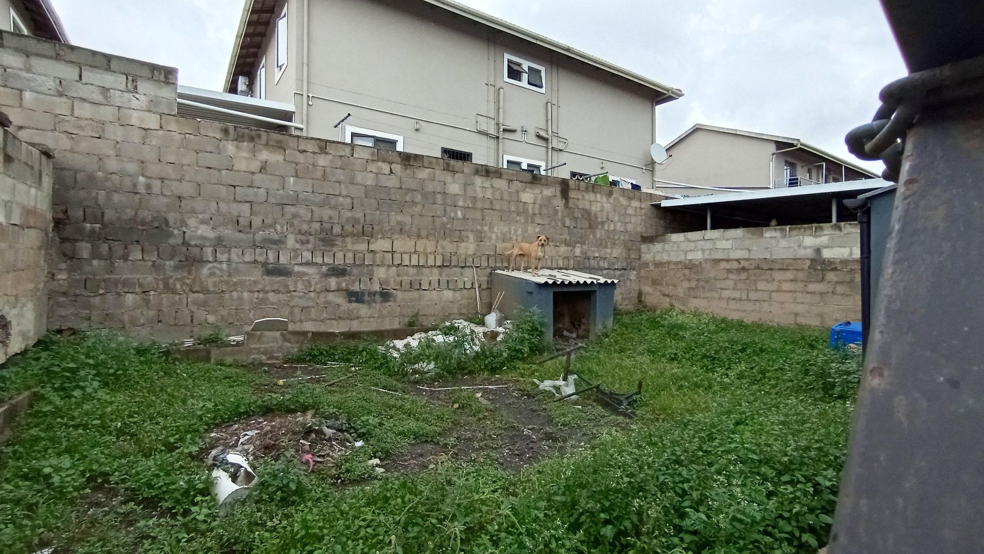 Backyard of property in Rydalvale