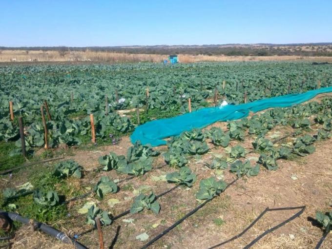 Farm for Sale For Sale in Swartruggens - MR697323
