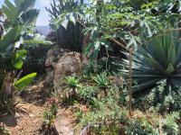  of property in Kensington - JHB