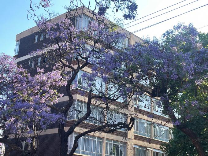 4 Bedroom Apartment for Sale For Sale in Arcadia - MR697703