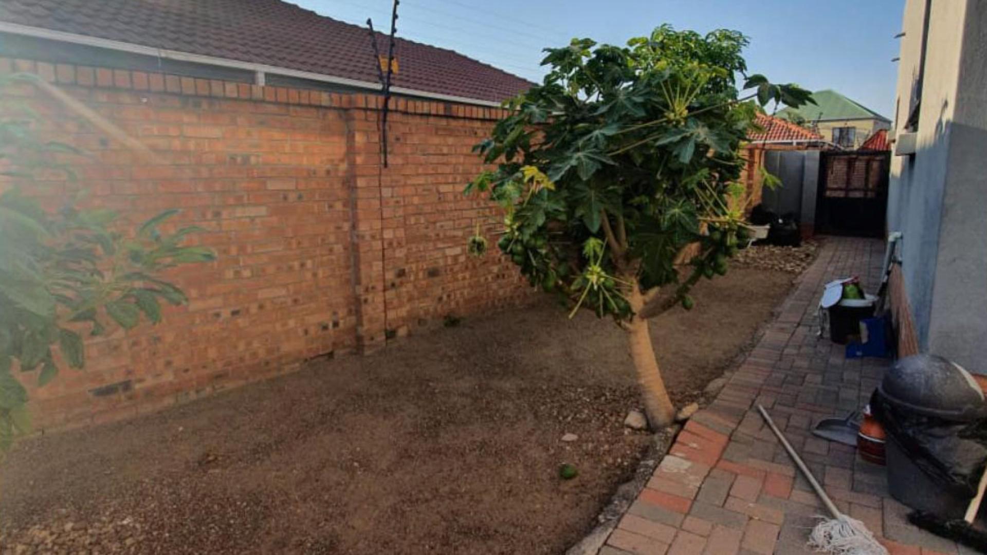 Backyard of property in Bendor