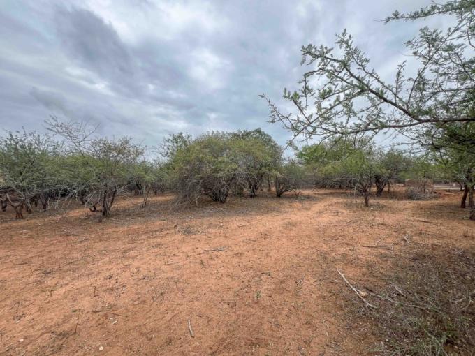 Land for Sale For Sale in Marloth Park - MR697784