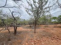  of property in Marloth Park