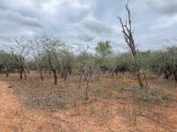  of property in Marloth Park