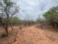  of property in Marloth Park