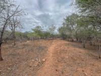  of property in Marloth Park