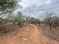  of property in Marloth Park