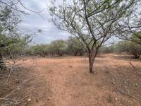  of property in Marloth Park