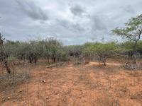 of property in Marloth Park