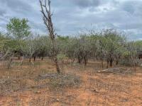  of property in Marloth Park