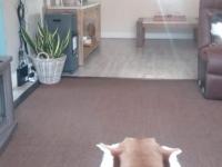  of property in Parow Central