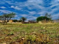  of property in Polokwane