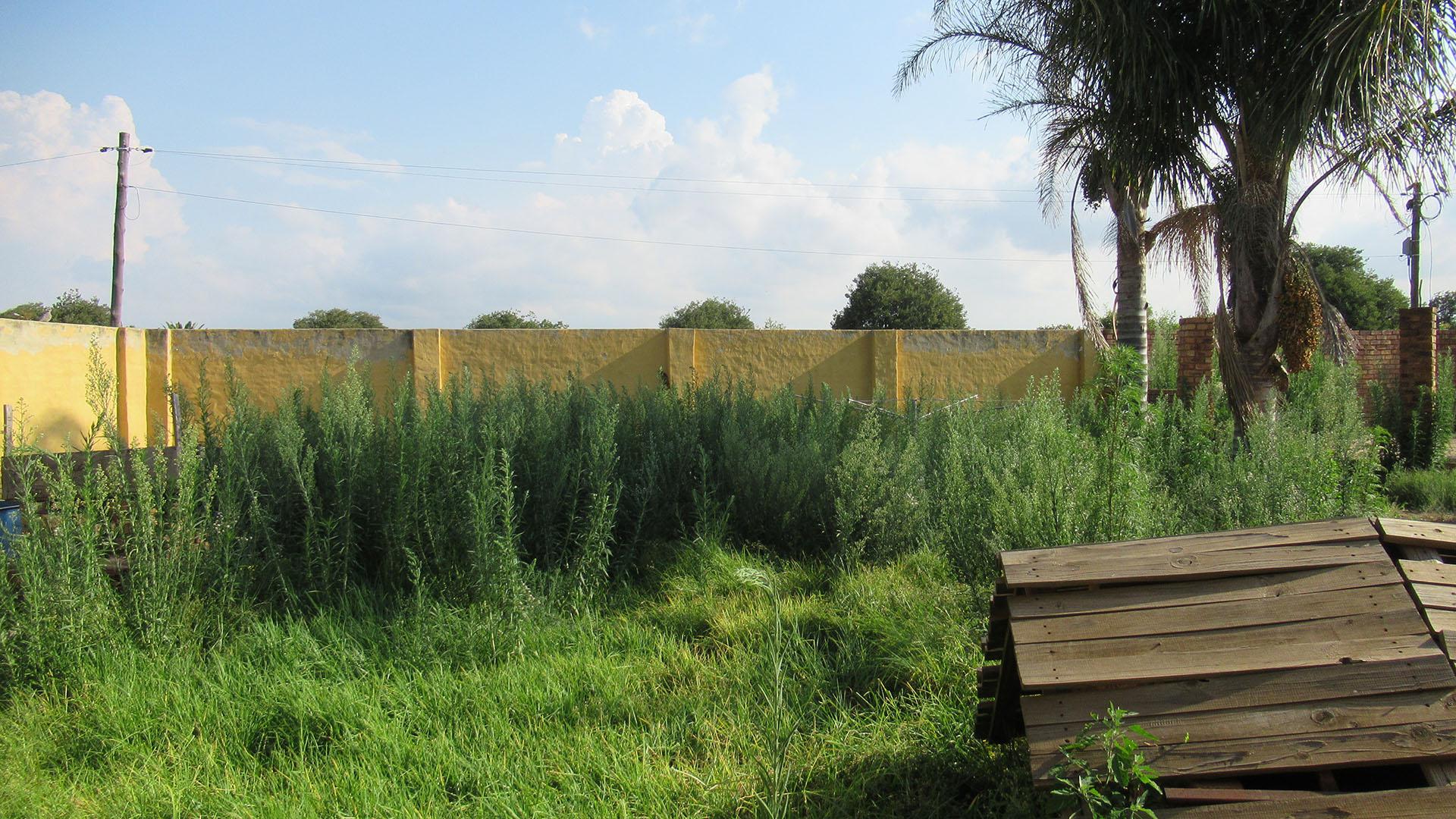 Backyard of property in Elspark