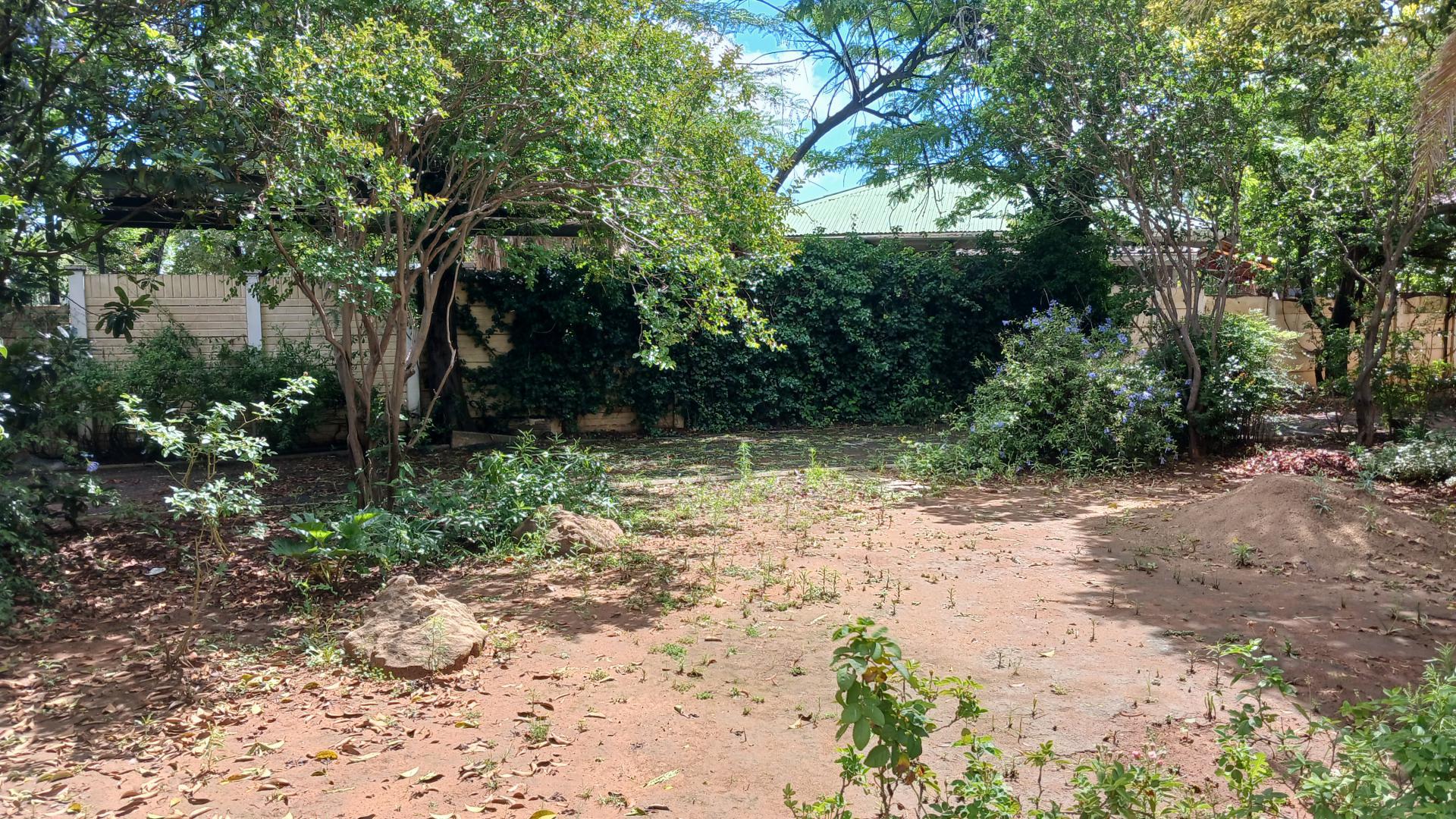 Garden of property in Bloemfontein