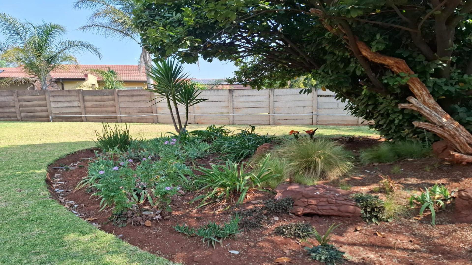 Backyard of property in Middelburg - MP