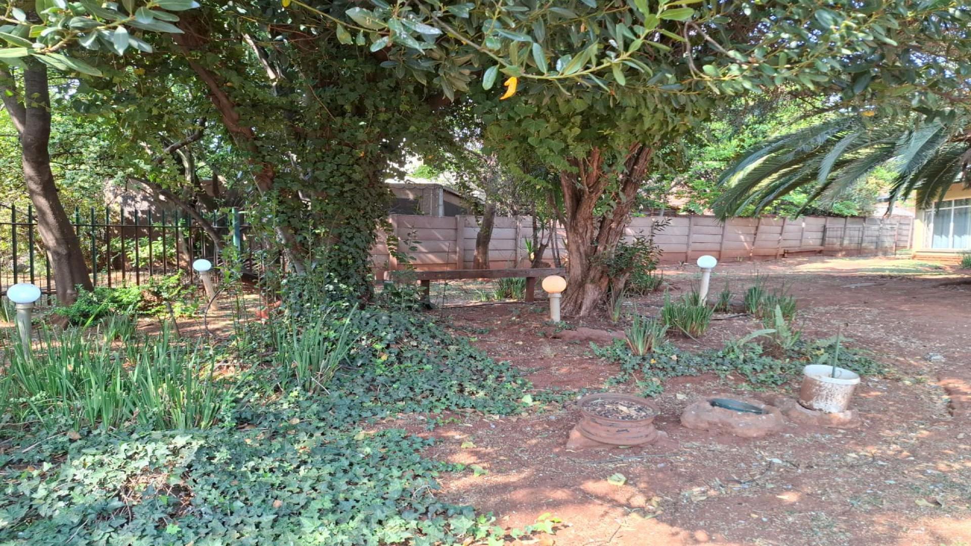 Backyard of property in Middelburg - MP