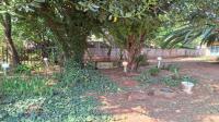 Backyard of property in Middelburg - MP