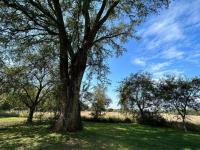 of property in Rustenburg  of property in Rustenburg