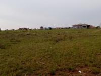  of property in Jameson Park