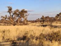 of property in Kuruman  of property in Kuruman