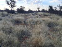 of property in Kuruman  of property in Kuruman