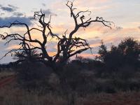 of property in Kuruman  of property in Kuruman