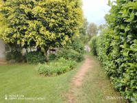 Backyard of property in Vorna Valley