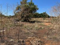  of property in Polokwane