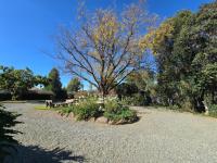  of property in Walkerville