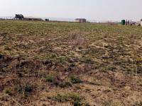  of property in Jameson Park