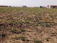  of property in Jameson Park