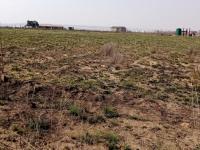  of property in Jameson Park