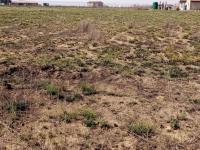  of property in Jameson Park