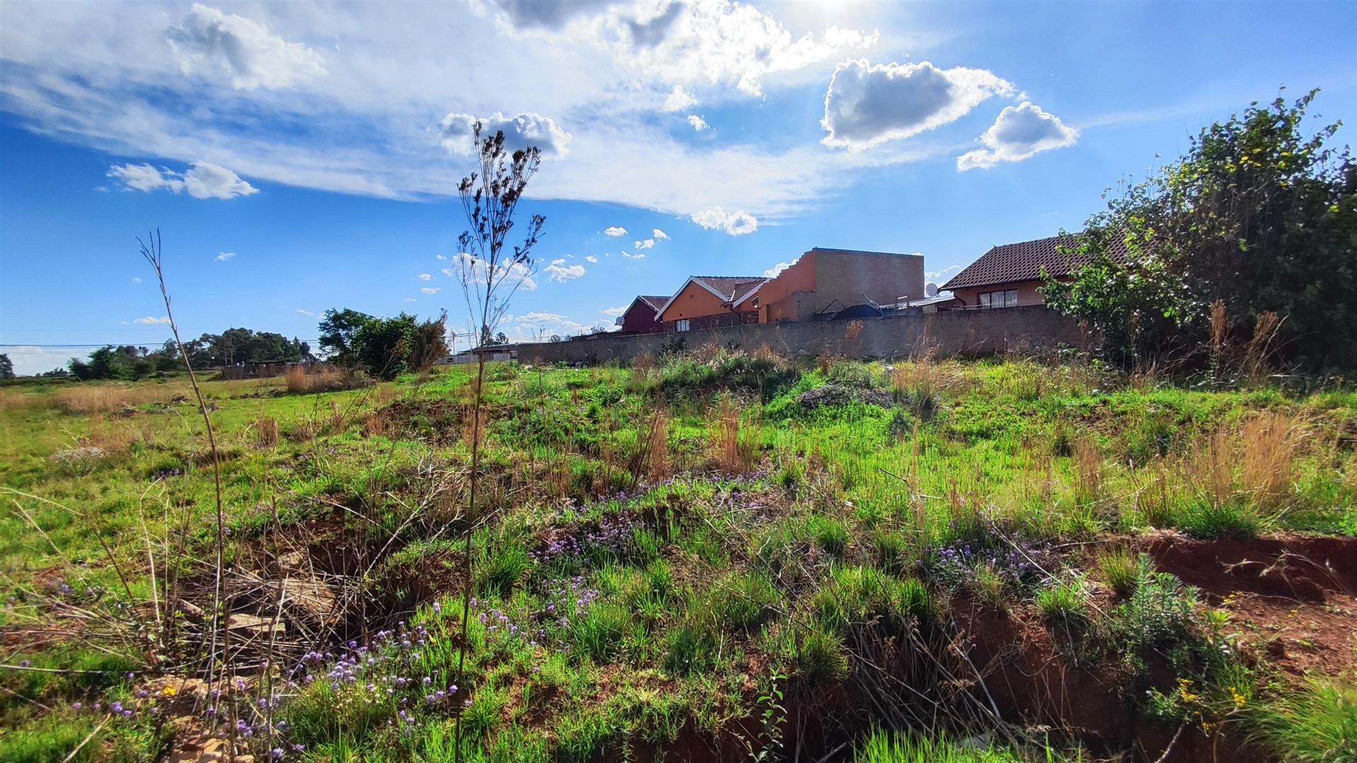 Front View of property in Unitas Park