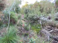  of property in Wilderness