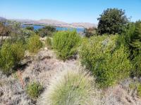  of property in Kosmos