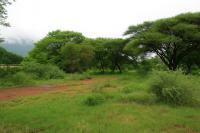  of property in Thabazimbi