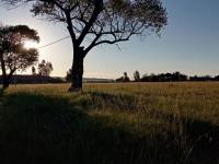  of property in Jameson Park