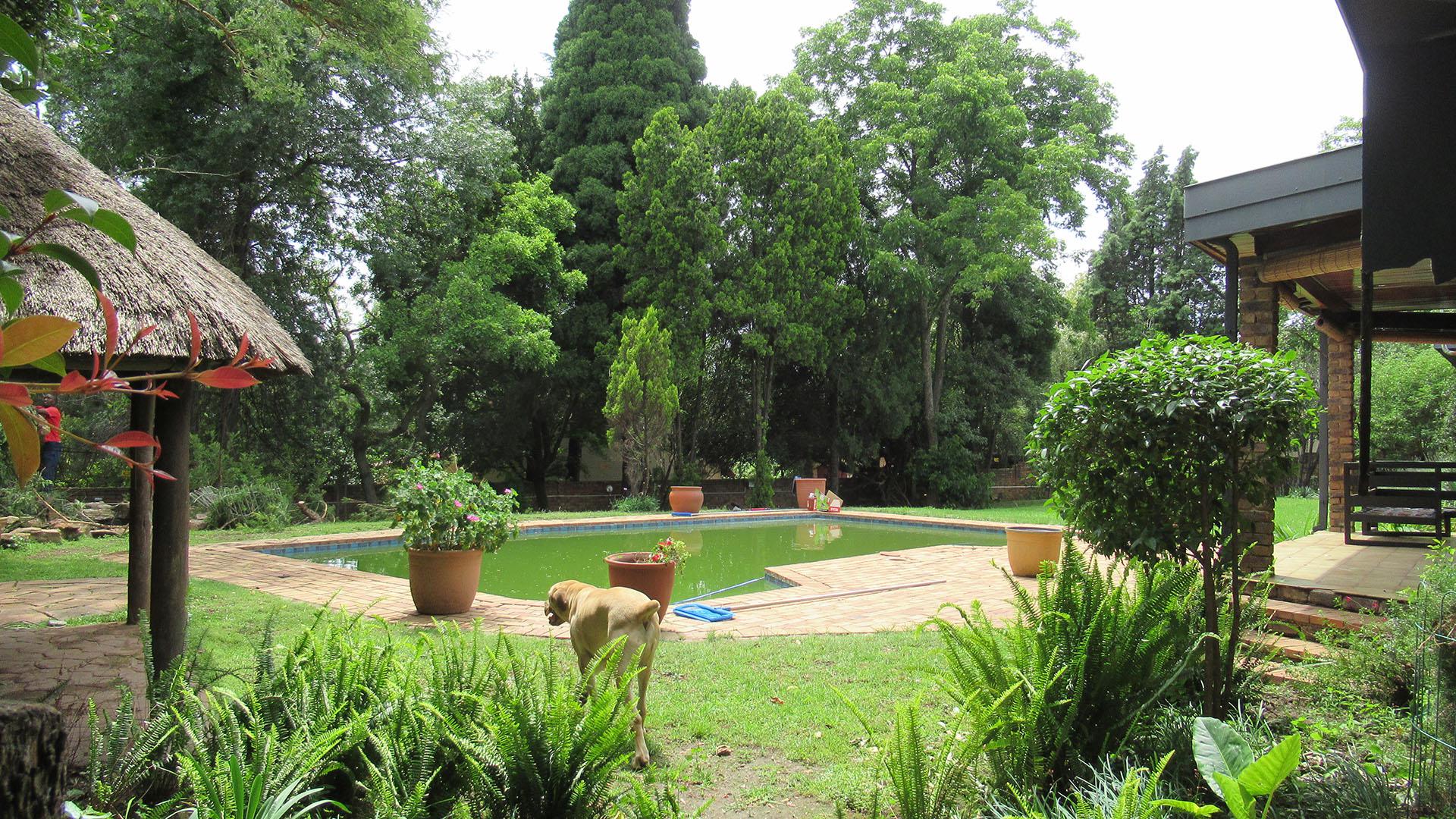 Backyard of property in Ferndale - JHB