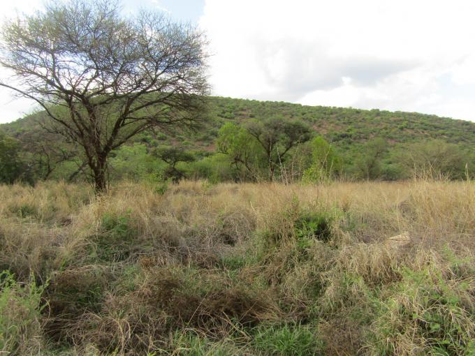 House for Sale For Sale in Thabazimbi - MR698880