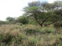  of property in Thabazimbi