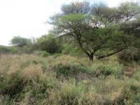  of property in Thabazimbi