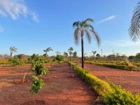  of property in Polokwane