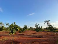  of property in Polokwane